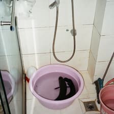 Profile picture for kathleen ma