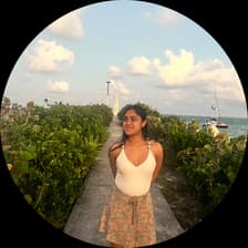 Profile picture for Pallavi Jayaraman