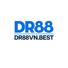 Profile picture for DR 88