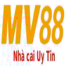 Profile picture for MV88