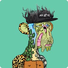 Profile picture for Apewhale