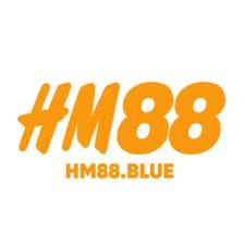 Profile picture for Hm88 blue