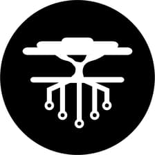 Profile picture for Silicon Savannah Solutions