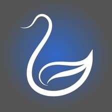 Profile picture for Rachel Swann