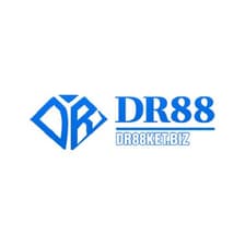 Profile picture for DR88