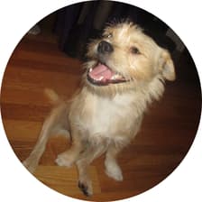 Profile picture for Victoria K