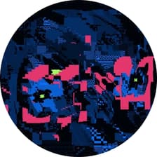 Profile picture for Elisabeth Mühlbacher