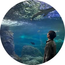 Profile picture for Joshua Sum