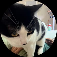 Profile picture for leah