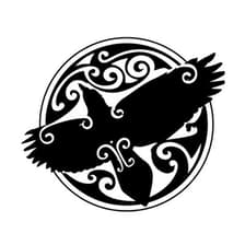 Profile picture for elcuervo