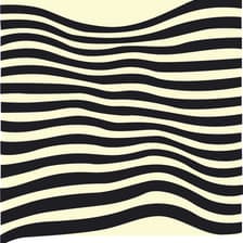 Profile picture for The Zebra Club