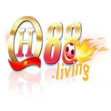 Profile picture for qh88