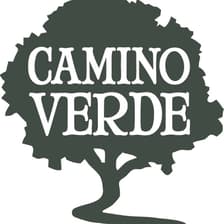 Profile picture for Robin Van Loon