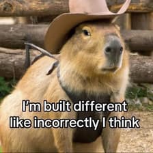 Profile picture for Charles Traut (Scratchpad)