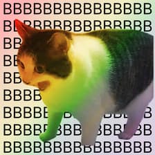 Profile picture for Woonggi Min