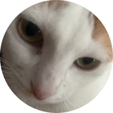 Profile picture for Inky Ip