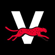 Profile picture for LSESU Velocity Society