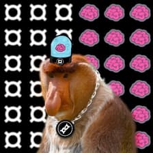 Profile picture for Andy Cho at Frax & IQ