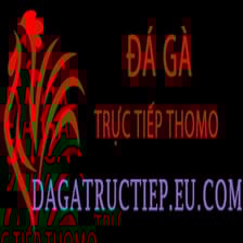 Profile picture for Đá Gà Trực Tiếp