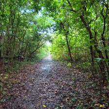 Profile picture for Orlando Ortiz