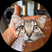 Profile picture for Kyle Ruddick