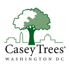 Profile picture for Casey Trees