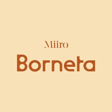 Profile picture for Hotel Borneta