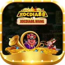 Profile picture for xocdia88 wang