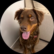 Profile picture for Jay Yao