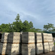 Profile picture for bo via