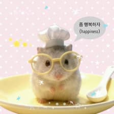 Profile picture for Koki.D