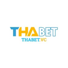 Profile picture for Thabet vc