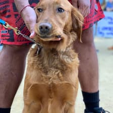 Profile picture for Cori Wolfland