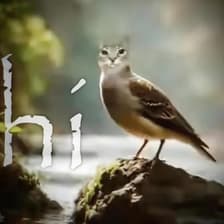 Profile picture for david