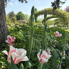 Profile picture for Alexandra Salvador