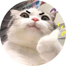 Profile picture for Maple T
