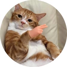 Profile picture for Jude
