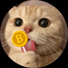 Profile picture for Tory