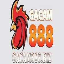 Profile picture for gacam888 biz