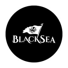 Profile picture for BlackSea Technologies
