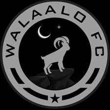 Profile picture for Walaalo FC