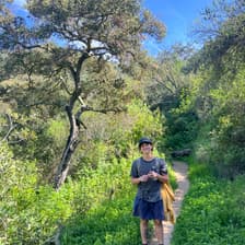 Profile picture for Lê Cohen