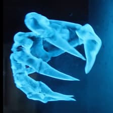 Profile picture for O B