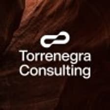 Profile picture for Torrenegra & Co