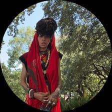 Profile picture for Professor SIRIUS