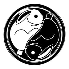 Profile picture for The Collective Solution