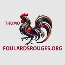 Profile picture for ĐÁ GÀ THOMO TRỰC TIẾP FOU