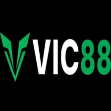 Profile picture for vic88 top