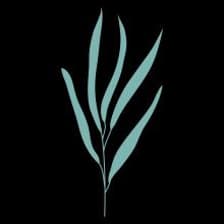 Profile picture for Holistic GPC