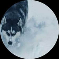 Profile picture for Kai Bastian